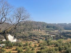 -乌石村