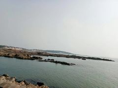 -八大关景区