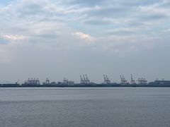 -大湾区中央湿地公园
