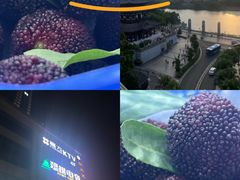 -绿树电竞(五路店)