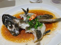 清蒸海石斑-東海海鲜酒家(中信广场店)