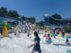 -秦皇岛乐岛海洋王国