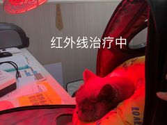 -佑安动物医院·全科·内窥镜中心(幸福巷店)