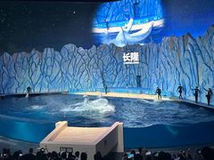 -珠海长隆海洋王国