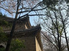 -灵谷景区