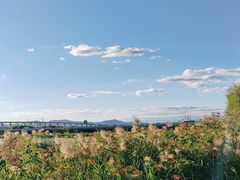 -绿堤公园