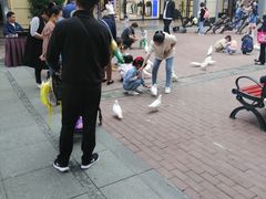 -王府井奥莱临潼小镇(临潼店)