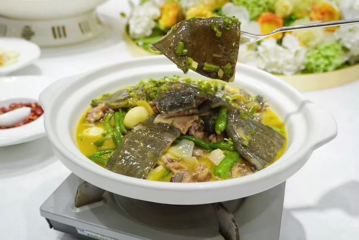 青椒焖甲鱼
