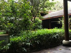 -洪湖悦兮半岛国际温泉度假村