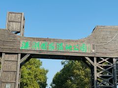 -溱湖国家湿地公园