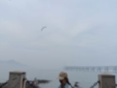-黑石礁公园