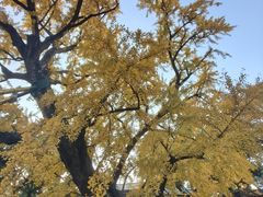 -无锡惠山寺