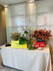 -雪绒花月子会所(万安店)