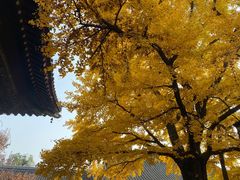 -红螺寺