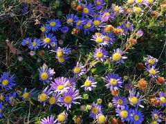 -龙头岩(Dragon Head Rock)