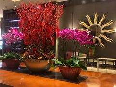-上海西藏大厦万怡自助餐厅(徐汇店)