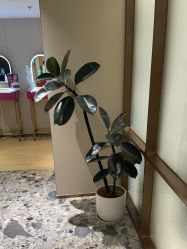 -北京漾格医疗美容医院