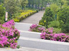 -七桥瓮公园