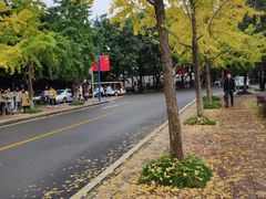 -西南政法大学(渝北校区)