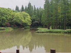 -高桥特色小吃