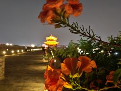 -相门城墙文化休闲景区