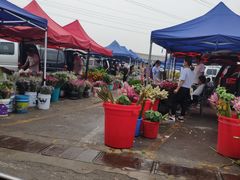 -王四营海鲜市场