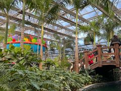 -南宫五洲植物乐园