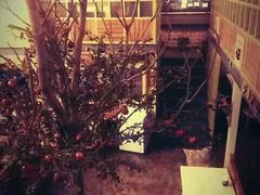 -Cafe Alice咖啡爱丽丝(奥城店)