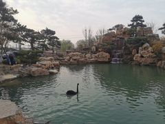-静之湖度假区