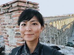 -塞哥维亚输水道