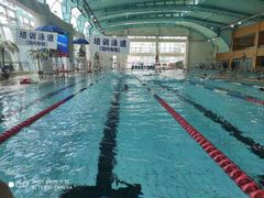 -小海豚国际游泳培训中心(浦东源深体育中心店)