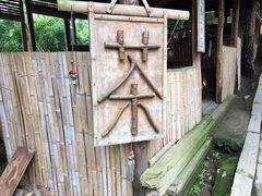 -巢湖姥山岛