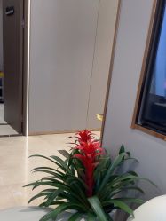 点击看大图 -杭州米兰柏羽医疗美容医院