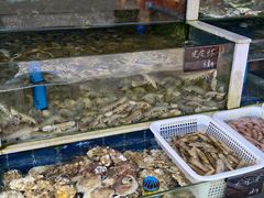 -常家活海鲜小吃(仅一家无分店)
