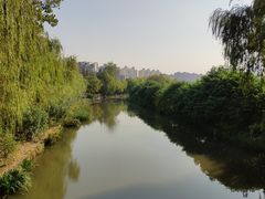 -新江湾城公园