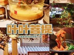 -叶叶菩提·晋福宫