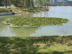 -芝麻糊世家(西华店)