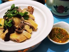 -琼菜人家·海南菜·文昌鸡(文昌大道店)