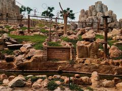 -石家庄市动物园