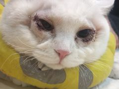 -嘉馨宠物医院·CT影像转诊·心脏科·犬猫全科诊疗中心(下沙大学城院区)