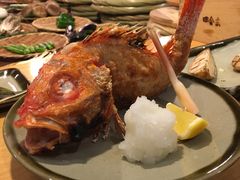 kinki&nbsp;fish-银座田舍家
