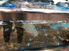 -盒马鲜生(大成店)