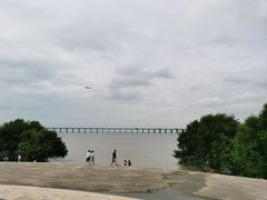 -宝安西湾红树林湿地公园