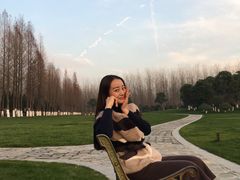 -合肥滨湖国家森林公园