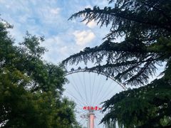 -北京石景山游乐园