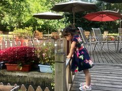 -老洋房花园饭店(绍兴路店)