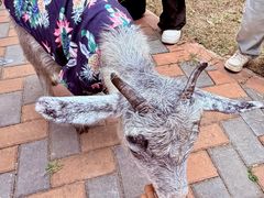 -常州淹城野生动物世界