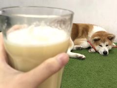 -YCHL Studios健身工作室(市二宫店)
