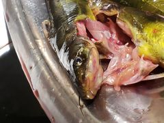 -肖肖酸萝卜鱼火锅(总店)