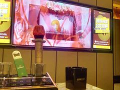-星聚会KTV(苏州尹山湖歌林公园店)